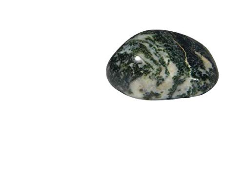 Agate d'arbre naturelle de 62.0Ct pour harmoniser votre bureau