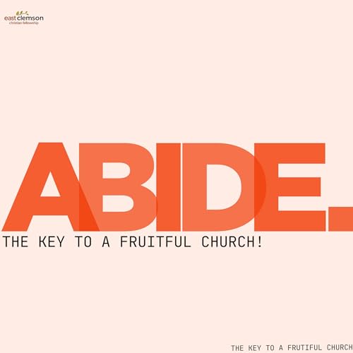 Throwback Sermon: Abide: A Blueprint to a Thriving Church