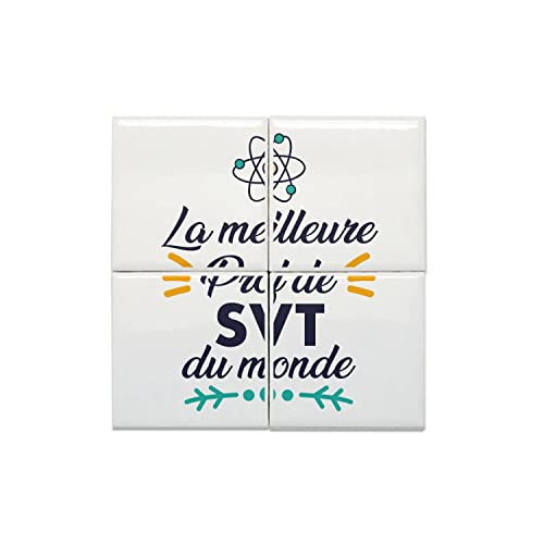 Carreaux céramique prof de SVT pour rompre la monotonie des salles de classe de science