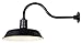 CANARM BL16WACBK Outdoor Aluminum Barn Light Black, 16 Inch