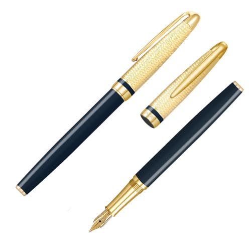 IWI 万年筆 細字 ローリエート万年筆 ナイトブルー 6J056FP-G5G