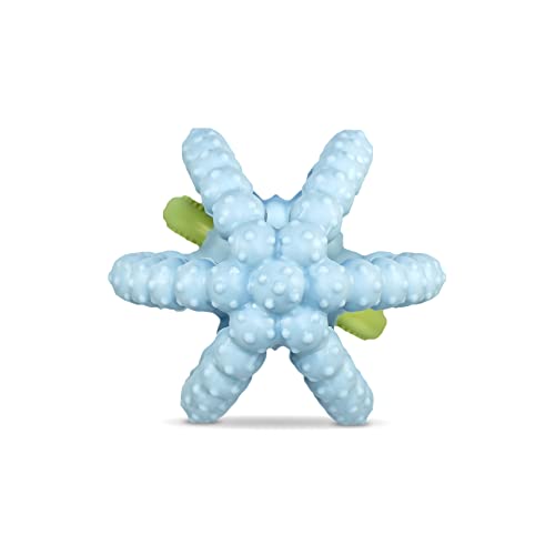 Razbaby Silicone Infant & Baby Teething Toy, Textured Berrybumps Soothe Babies’ Sore Gums, Razberry Bites Relief Teether, Back & Front Teeth, Bpa Free, Easy To Hold, Fruit Shape For Babies 3M+ - Blue #TOP6