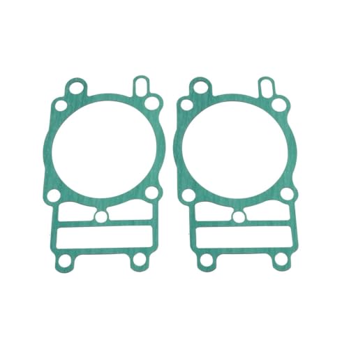 Joint d'embase cylindre Kawasaki VN1700 pour stopper les fuites d'huile moteur