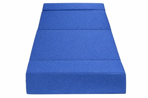 Image of Sofa Cum Bed (Blue)