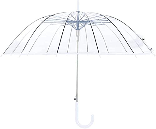 P P WvP rj[ 傫TCY 16{ JP xOXt@Co[̗p ~J΍ v ϕ  y jp XebLP   ʊw ʋ  