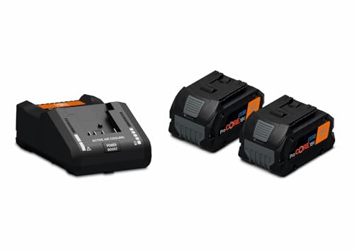 FEIN | Set de inicio baterías ProCORE 18V 8,0Ah AS, 2 baterías de iones de litio con cargador rápido GAL 18V-160, celdas HighPower, modo de carga Power Boost, dispositivo para montaje en la pared