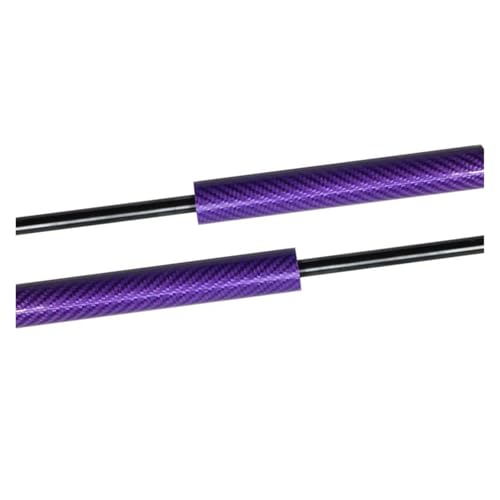 Amortisseurs avant de capot pour Civic 2005-2011 : ressorts de levage en carbone