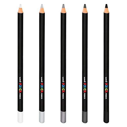 Queste matite si fondono perfettamente insieme, includendo sei livelli di intensità che portano una concentrazione profonda e ricca su ogni pagina.