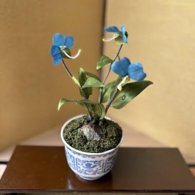 (夏 つゆ草)四季を彩る創作草もの盆栽(工芸品)〜工房椿