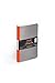 Field Notes Black Ice Special Edition Ruled Memo Books, 3-Pack (3.5x5.5-Inch) Winter 2016