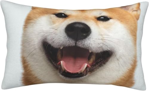 Č   킢   zCg  킢 Aj ʈ ɗD veN^[ \t@ Q  z[fR[V s[P[X   킢 G Mtg tďH~ lG 40 Cm X 60 Cm