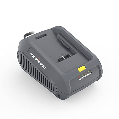 PowerSmart 40V Lithium-Ion Battery Charger (DB2202A)