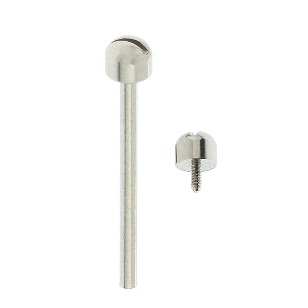 CALANDIS 1 Piece Bar Screw Tube for Watch Repair Tool Accessories 20 mm | Stainless Steel | 1 piece Watch Bar Screw Tube (B09ZTXVD6Y) Amazon Price History, Amazon Price Tracker