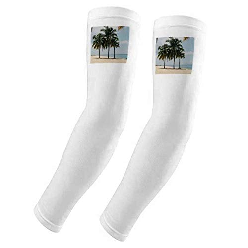 Lunettes de protection UV et soleil etui housse gants arbre de mer