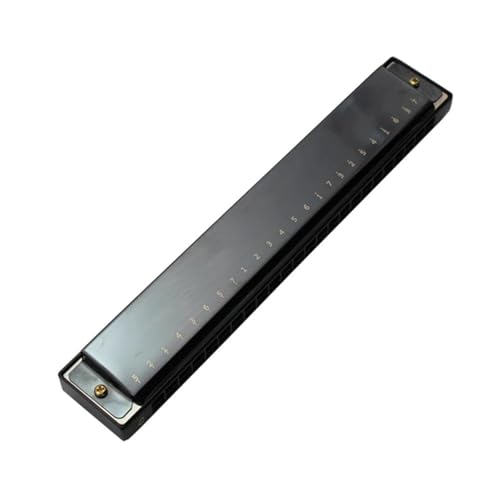 Harmonica vibrato à 24 trous pour surmonter les difficultés du premier instrument - 4