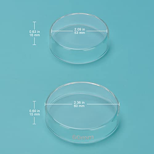 FunChem Glass Petri Dishes, Autoclavable Glass Cell Culture Dishes Lab
