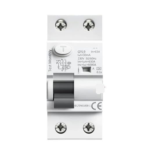 Disjoncteur électromagnétique Type A RCD 2P 40A 100mA RCCB ELCB