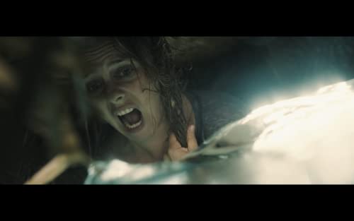 The Requin [Blu-ray]