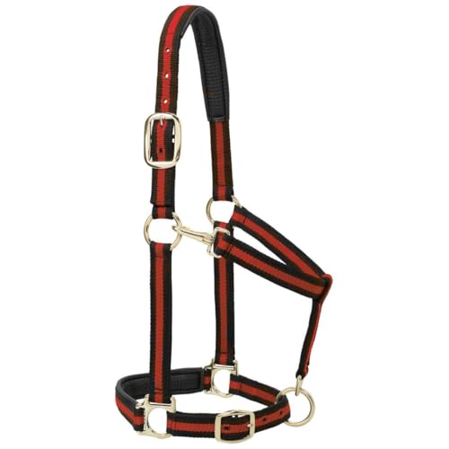 Licol pour cheval vert en nylon rembourré réglable sangle 25mm