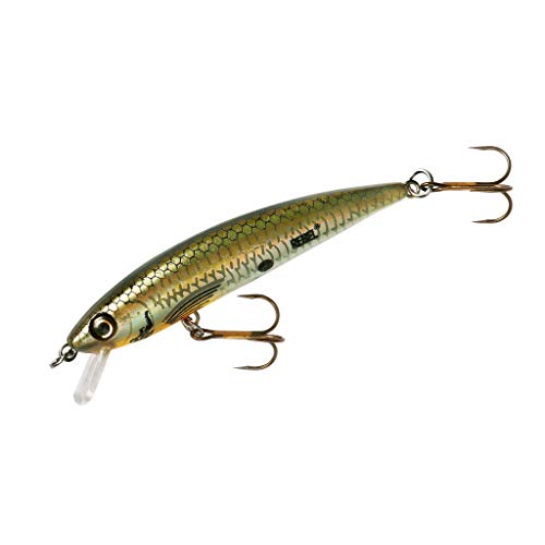 Rebel Td47–542 Tracdown Ghost appât de pêche de type minnow
