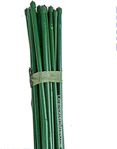 Suinga Lot de 50 Tuteur en Bambou plastifié 150 cm, 12-14 mm, Tubes en Bambou pour Plantes et Arbres, Baguettes de Bambou, Canne de Bambou