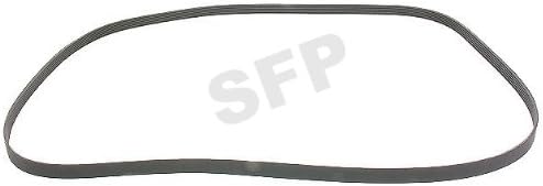 Alternator Drive Belt (2010)