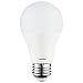 Sunlite 80717-SU LED A19 Household Light Bulbs 9 Watts (60W Equivalent), 800 Lumens, Medium Base (E26), Non-Dimmable, Frost Finish, UL Listed, 1 Count (Pack of 1), 6500K-Daylight