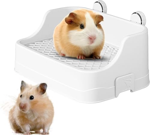 Dlwk P[Wp̃oj[{bNXAeʂ̑ړIybggC - Ƃ̂߂̃obNt̐`̃ybggCAETM̃K[r̂Ԃ牺蔠