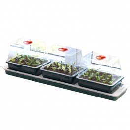 Trio de serres chauffantes - 76 x 18 x 20,5 cm - Garland germination-bouturage