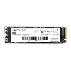 Patriot P310 M.2 PCIe Gen
