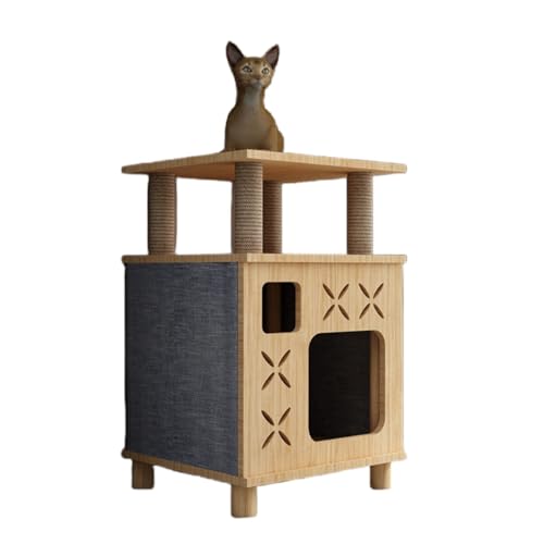 ^LP[W 2wؐt[ VRhf LnEX LʑV[g (i`,D)