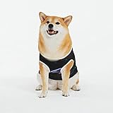 KOOLR