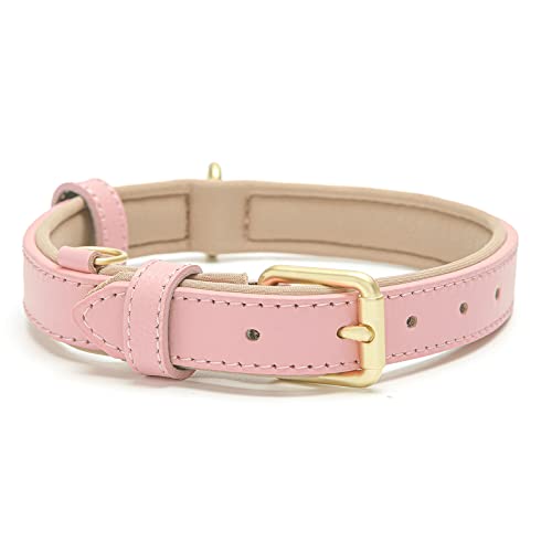Tanpie Leather Dog Collar