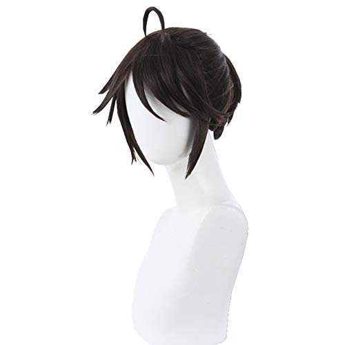 osseoca Cos wig Blue Synthetic Hair Natural Anime Comic Exhibition Cosplay Japanese Ombre COS Male Wigs (Luca Balsa)