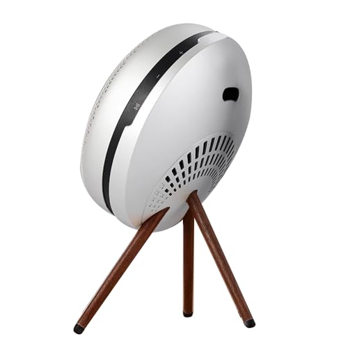 Fenduoer Verbesserte Ständer für Bang & Olufsen Beoplay A1 2. Generation/Beosound A1 kabellose Bluetooth-Lautsprecher, Schreibtisch-Ständer (Silber)