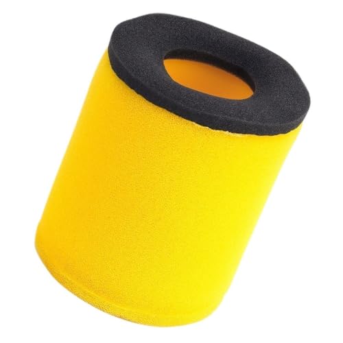 Filtre à air moteur à haute filtration pour Suzuki LTF400