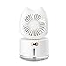 HEZB Przenośny mini ładny kot nawilżacz wentylator kolorowy PROWADZONY Lekki ręczny Usb. Rechargeable Desktop CHOOLING MYLING DIVHUSER HEZB (Color : White)