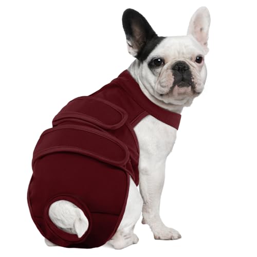 Image of Lelepet Female Dog Diapers with Suspenders, Washable & Reusable S Wine Red | Adjustable and absorbent dog diapers for heat cycles, incontinence, and senior dogs. Comfortable all-day fit. Pet panties