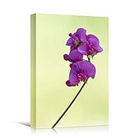 Canvas Wall Art Purple Flower Portraiture Colorful Floral Multicolor Photography Portrait Romantics - 12x18 inches