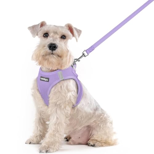 Image of rabbitgoo Dog Harness Medium Sized and Leash Set, Step-in Puppy Pet Vest