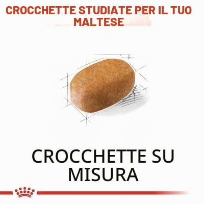 Maltby - 2 confezioni di cibo per cani Royal Canin per maltesi adulti, confezione da 1,5 Kg (3 kg in totale)