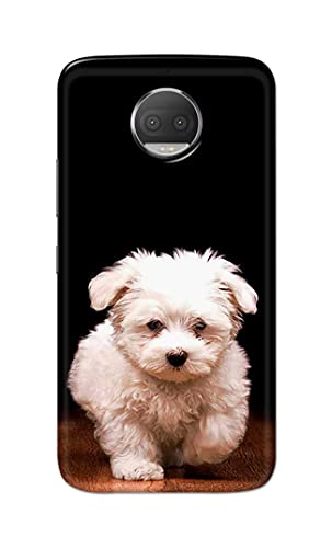 Image of PRINTFIDAA� Printed Hard Back Cover Case for Motorola Moto G5S+ Plus Back Cover (Puppy Dog) -2808