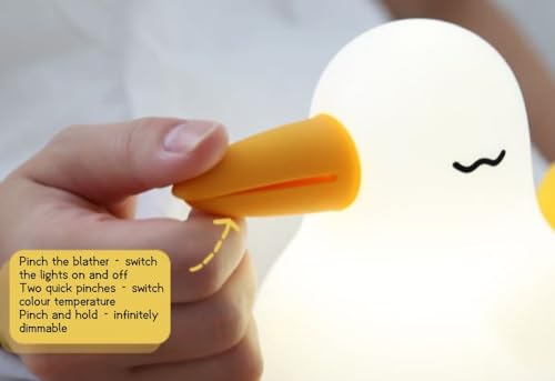 Lámpara de mesa de noche infantil Kiwi Bird LED recargable miniatura 2