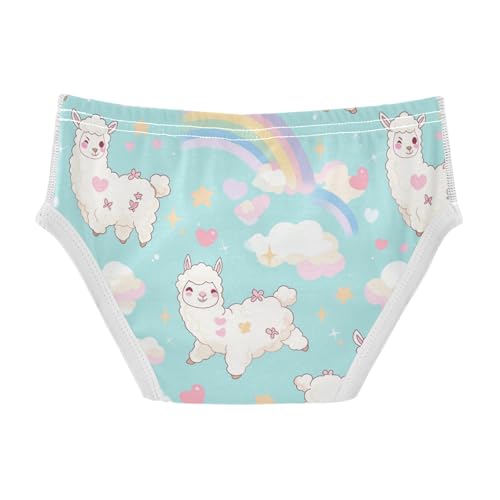 Wusikd Alpaca Boys' Underwear Cotton Rainbow Boys Briefs Soft Toddler Underwear 2T2