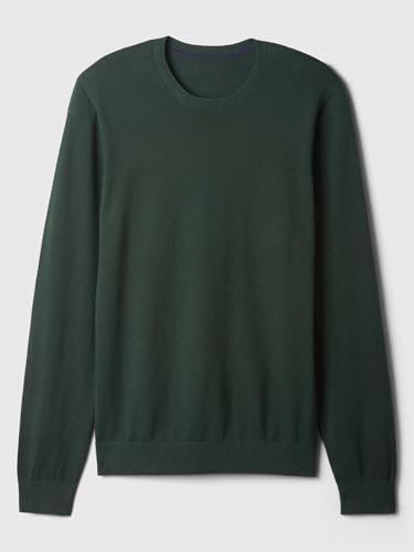 GAP Men's Crewneck Sweater4