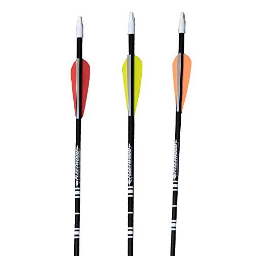 Fleetwood Fiberglass Arrows w/Vanes 6 Pack