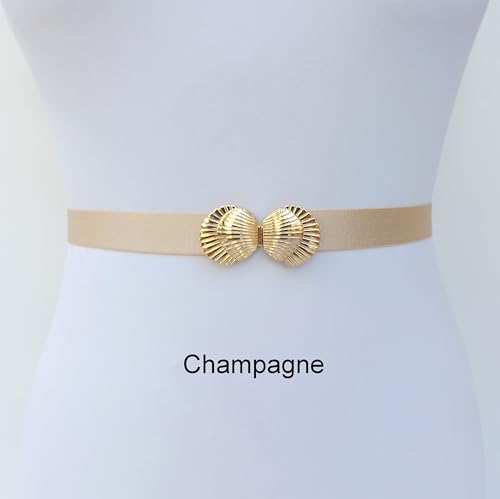 Gold Elastic Waist Belt with Gold Seashells Clasp4