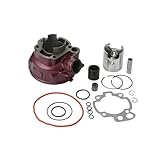 【Installation facile】 Conception simple, facile à installer et à remplacer, offrant aux propriétaires de motos des options pratiques de maintenance et de mise à niveau.