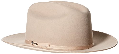 Stetson Open Road 6X, Color: Silverbelly, Size: 7.25 (Sfoprd-05266172) #TOP1