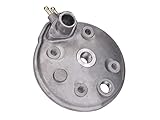 Aprilia RS 50 (Bj. 1999 - 2005) (AM6-Motor)